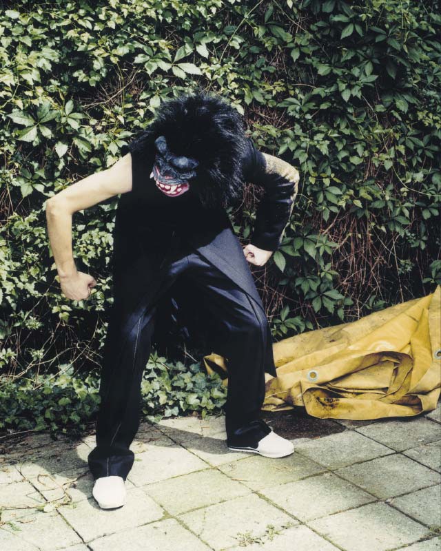 image No 4: ape 04